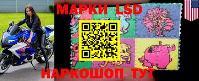 ПСИЛОЦИБИНОВЫЕ ГРИБЫ Будённовск