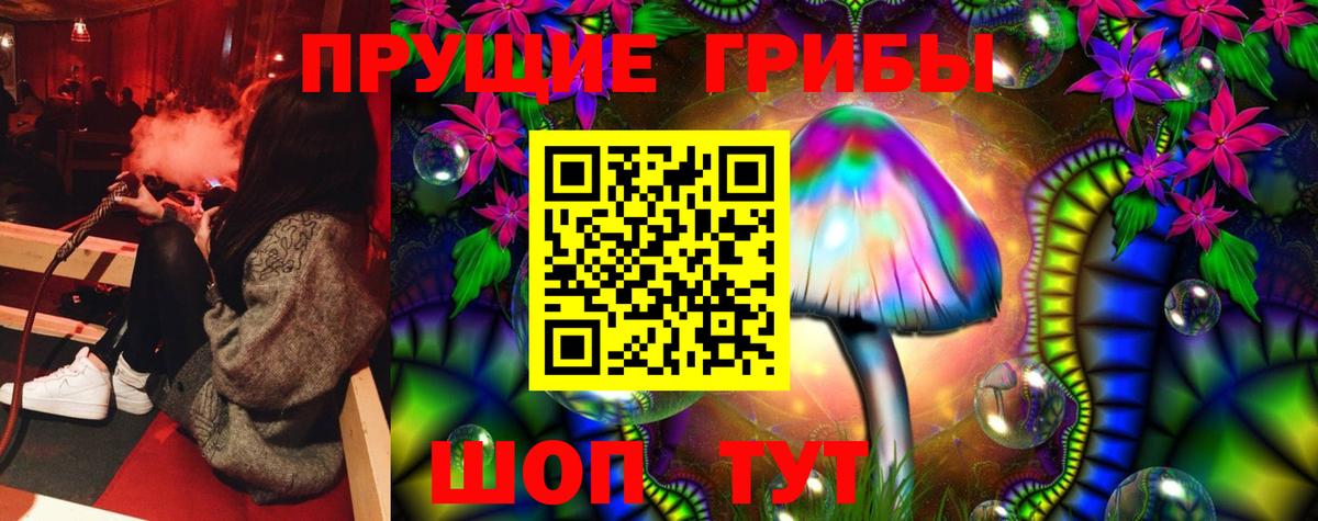 Галлюциногенные грибы Psilocybine cubensis  Вход с VPN  Тимашёвск  Галлюциногенные грибы прущие грибы 